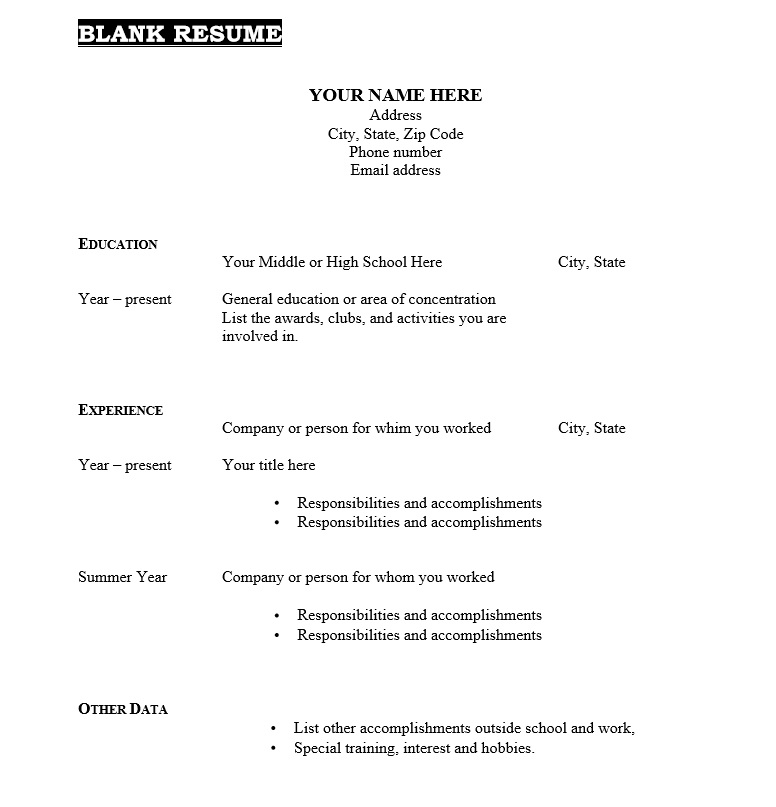 Fill In The Blank Resume PDF Photo