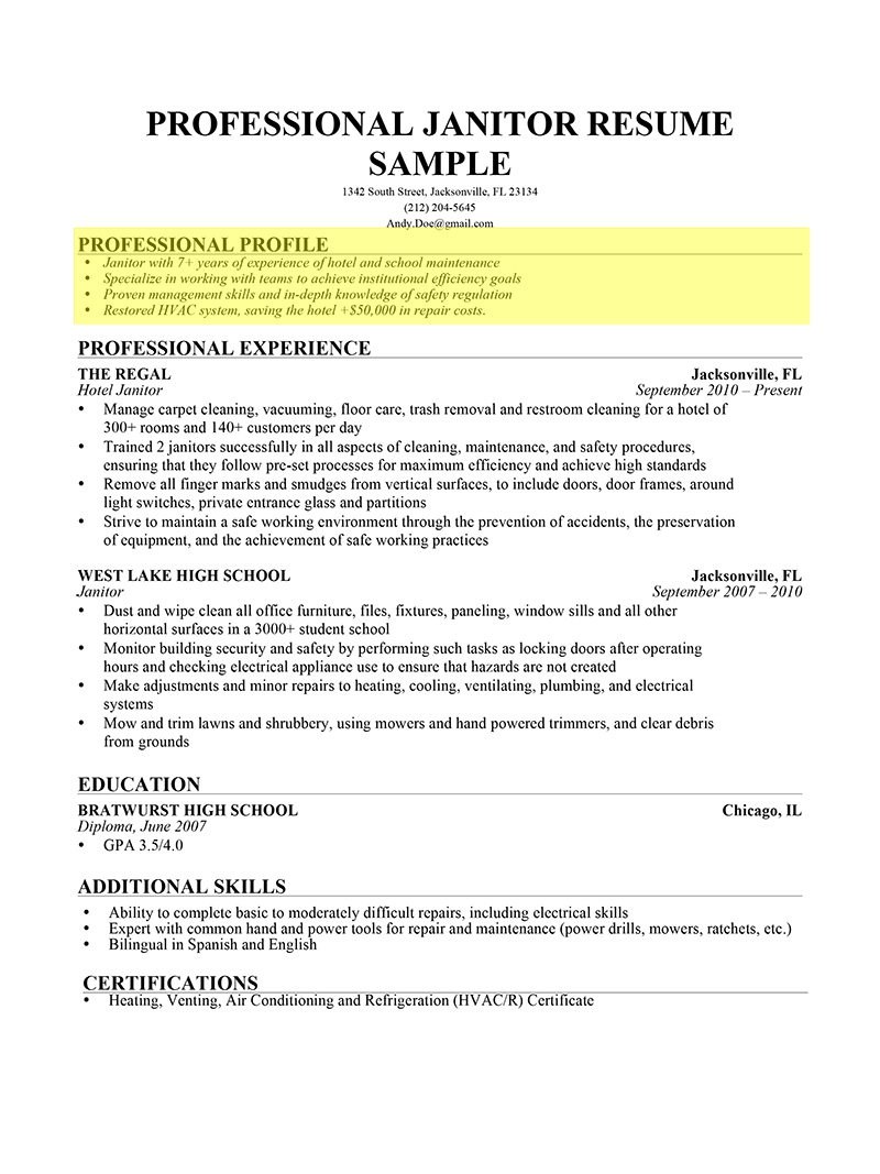 How To Write A Professional Profile Resume Genius