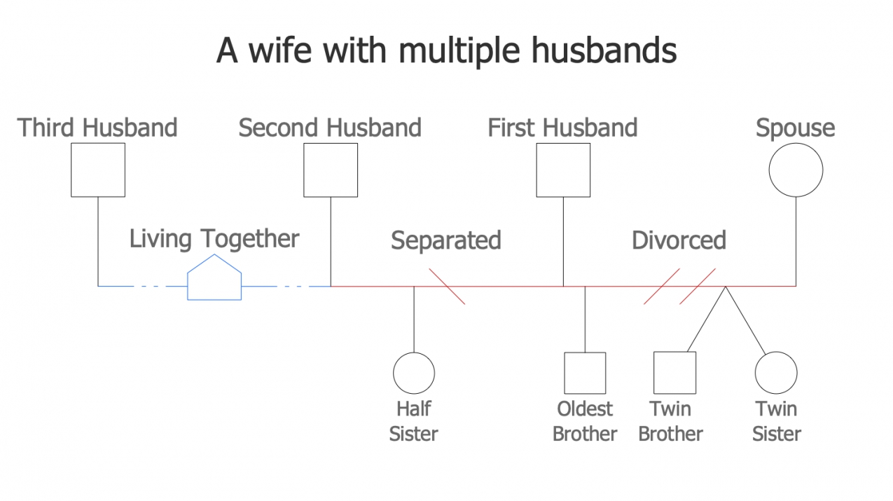 This Genogram Example Demonstrates The Wife With Her